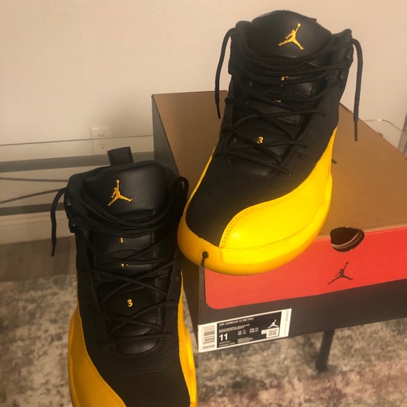 Jordan retro 12